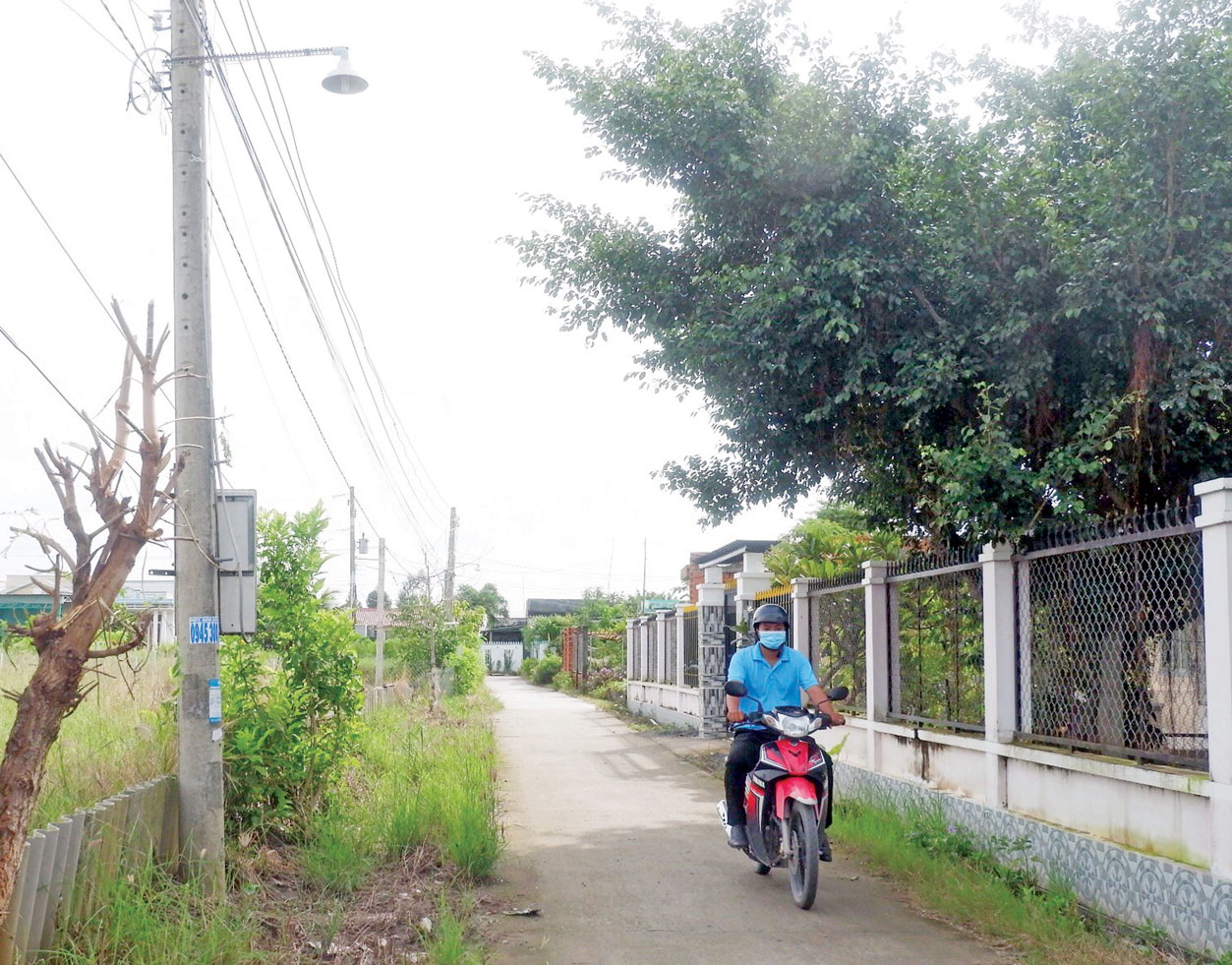 Mô hình Ánh sáng an ninh, trật tự góp phần bảo đảm  an toàn giao thông tại xã Tân Lân, huyện Cần Đước