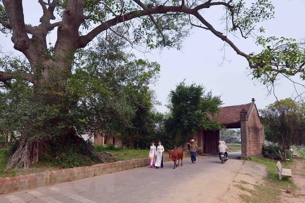 The gate to Duong Lam ancient village, a popular tourist destination in the suburbs of Hanoi. (Photo: VNA)