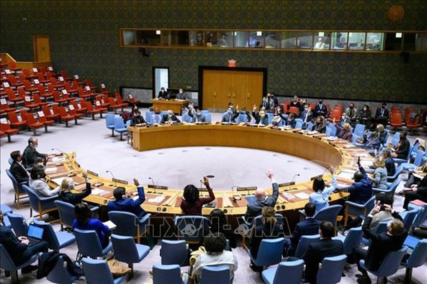 A UNSC meeting in New York. (Photo: VNA)