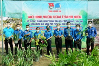 Hiệu quả mô hình Vườn ươm thanh niên