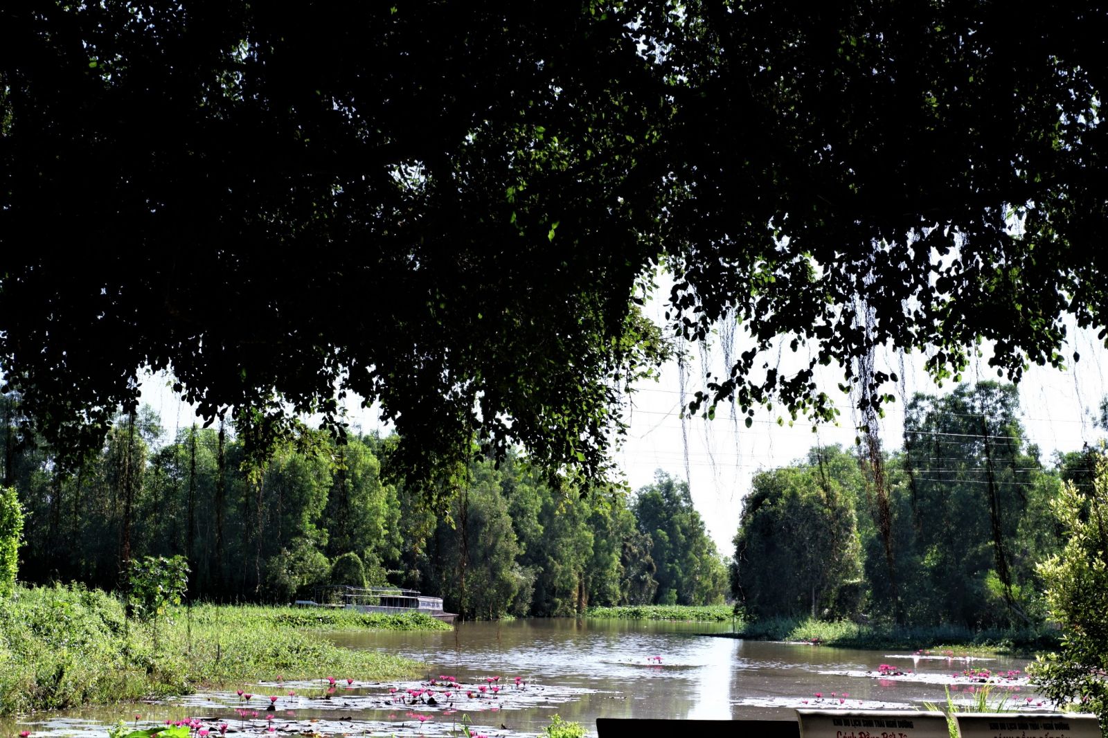 A corner at the Endless Field Tourism Area