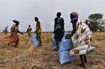 Trưởng Phái đoàn thường trực Việt Nam tại LHQ thăm thực địa Nam Sudan