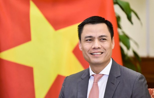 Deputy Minister of Foreign Affairs Dang Hoang Giang (Photo: VNA)