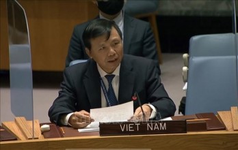 Vietnam supports reform of UN Security Council