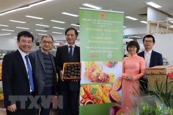 Two tonnes of Vietnamese frozen passion fruit marketed in Australia