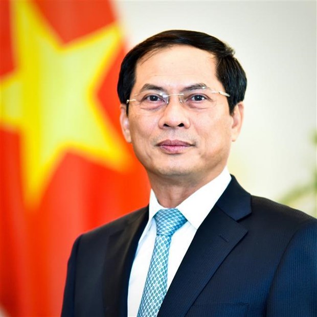 Minister of Foreign Affairs Bui Thanh Son (Photo: VNA)