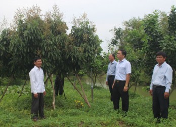 Tân Thạnh: Hiệu quả từ chuyển đổi cây trồng, vật nuôi