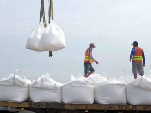 The import and export cargo transportation activities at Long An International Seaport