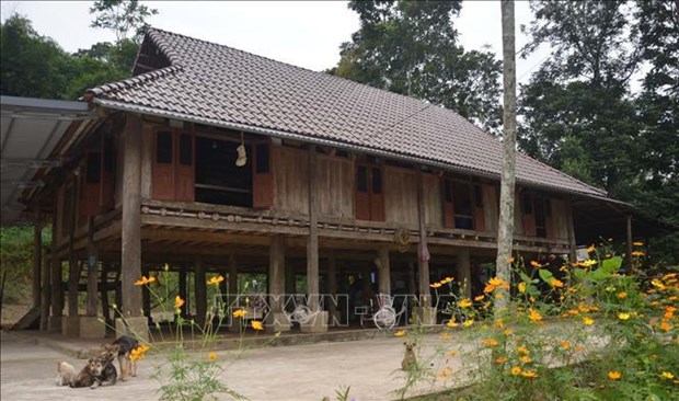 The stilt house of Pham Thi Sau's family in Lap Thang village, Thach Lap commune, Ngoc Lac district, is nearly 100 years old. (Photo: VNA)