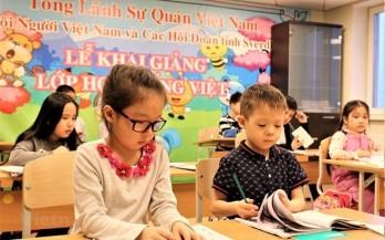 Action programme aims to promote overseas Vietnamese-related affairs