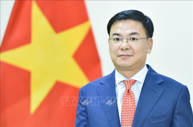 Deputy Foreign Minister Pham Quang Hieu, head of the State Committee for OV Affairs  (Photo: VNA)