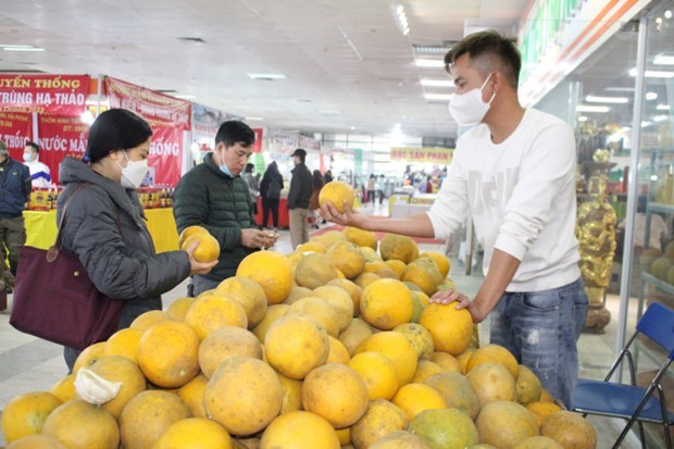 The Spring Fair 2022 kicks off on January 22 in Hanoi (Photo: VNA)