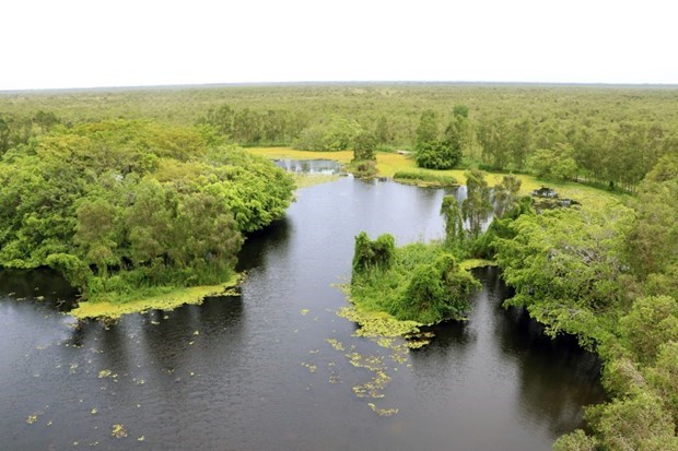 Visitors experience coastal wetland ecosystem in Dat Mui, Ca Mau (Photo: VNA)