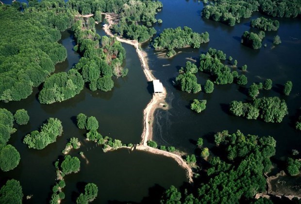 A view of Can Gio Biosphere Reserve (Photo: VNA)