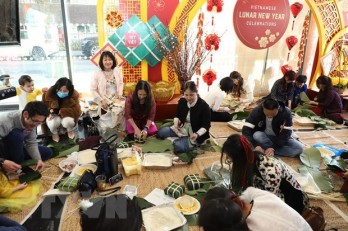 Overseas Vietnamese across nations celebrate Lunar New Year