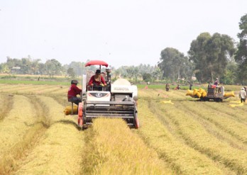 Ngành Nông nghiệp và Phát triển nông thôn: Phấn đấu thực hiện các chỉ tiêu, nhiệm vụ ngay từ đầu năm