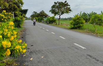 An toàn giao thông nông thôn những ngày tết