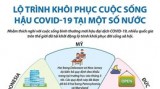 Lộ trình khôi phục cuộc sống hậu COVID-19 tại một số nước