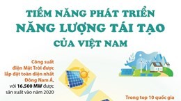 Tiềm năng phát triển năng lượng tái tạo của Việt Nam