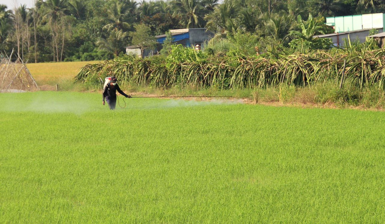 Chi phí sản xuất tăng cao do giá vật tư nông nghiệp tăng