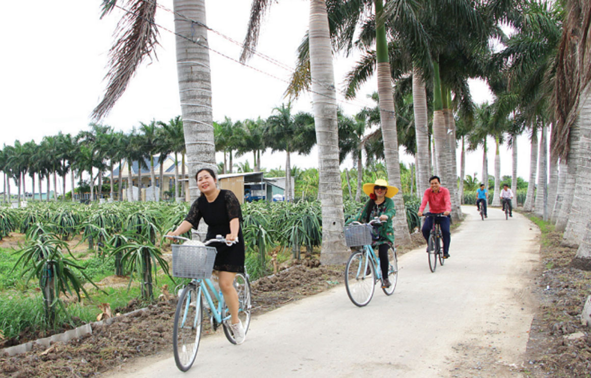 Tại Long An, xu hướng du lịch nông thôn, du lịch cộng đồng và farmstay cũng đang trong giai đoạn hình thành, phát triển (Trong ảnh: Du khách đi xe đạp trên cung đường cau vua tại huyện Tân Trụ) (ảnh tư liệu)