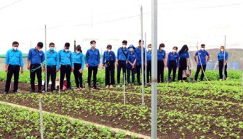 Hi-tech agriculture continued to develop