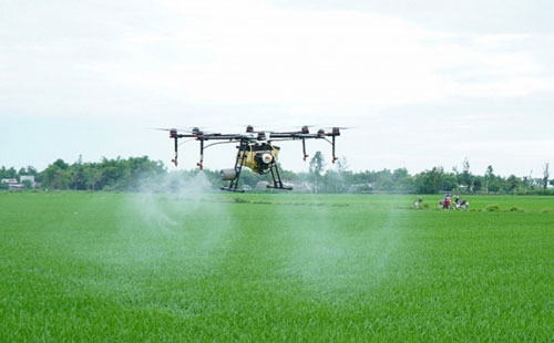 Scientific and technical advances to agricultural production are applied to reduce input costs and increase production efficiency (Photo: Tuan Hung)