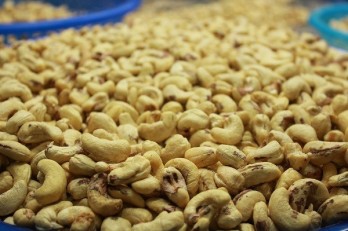 MoIT steps in to support exporters in Italy cashew nut scam