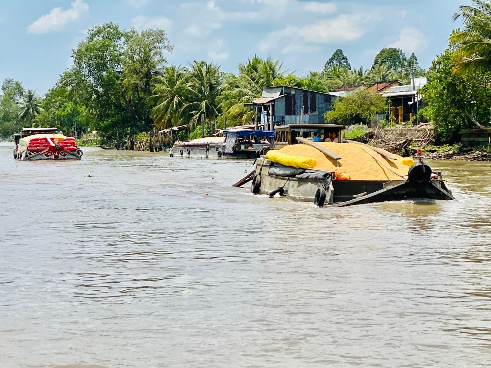 Dòng chảy tự nhiên của sông Mê Kông bị đảo ngược gây ra những hậu quả khó lường cho ĐBSCL