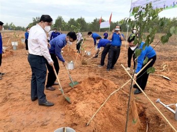 Đồng loạt ra quân 'Ngày Chủ Nhật xanh' toàn quốc năm 2022