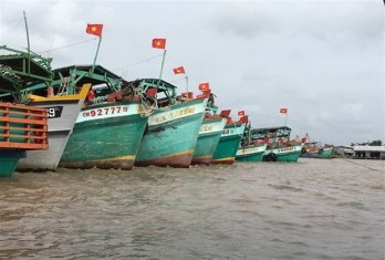 Ca Mau monitors fishing vessels going through estuaries