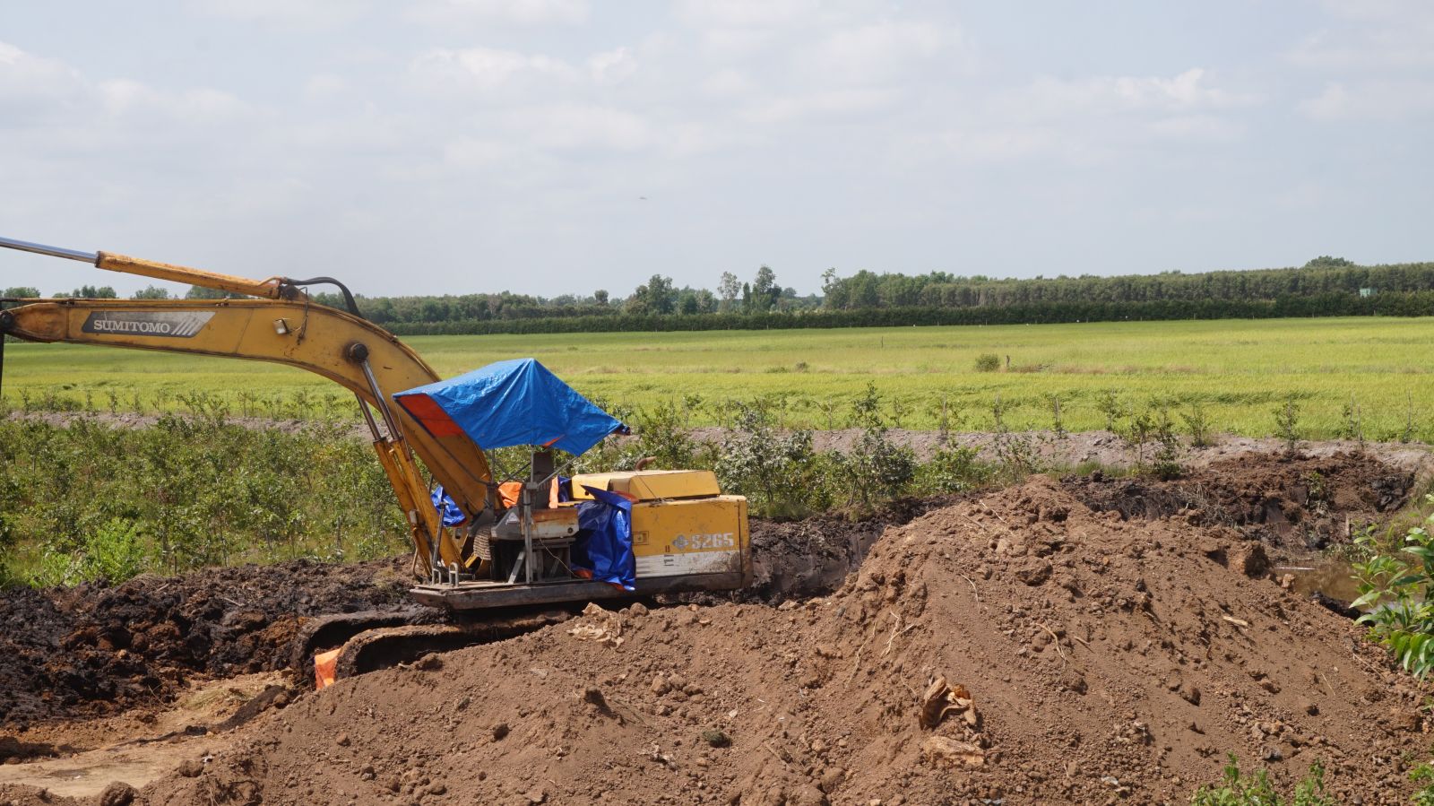 Các giải pháp trữ nước ngăn mặn, nạo vét kênh mương, gia cố đê bao được các cấp, các ngành và nông dân huyện Thạnh Hóa thực hiện, bảo đảm sản xuất vụ hè thu hiệu quả