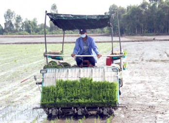 Cơ giới hóa trong sản xuất nông nghiệp: Tiết kiệm chi phí, tăng hiệu quả