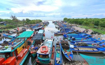 Cà Mau phát thông báo hơn 1.000 tàu cá thuộc diện mất tích