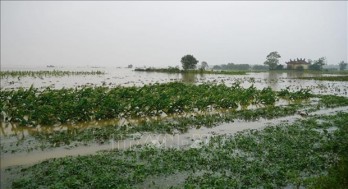 Central, Central Highlands regions requested to brace for more downpours