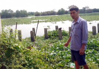 Nỗi lo sạt lở ven sông Vàm Cỏ Tây: Nhiều giải pháp phòng, chống sạt lở ven sông Vàm Cỏ Tây (Bài cuối)