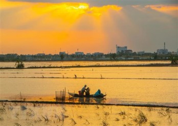 Phát triển kinh tế vùng Đồng bằng sông Cửu Long: Khơi dậy động lực