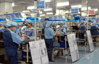 Vietnamese economy to recover fast this year: UNDP representative