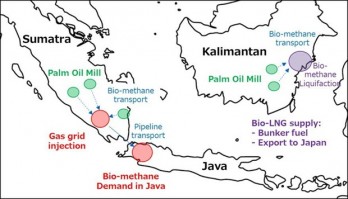 Indonesia to partner with Japan to produce biofuel from palm oil methane