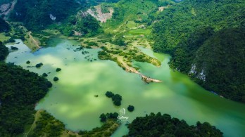 Thảo nguyên Đồng Lâm 'thay áo mới' mùa nước nổi, đẹp như cổ tích