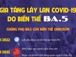 Gia tăng lây lan COVID-19 trên thế giới do biến thể BA.5