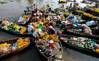 Master plan targets long-term prosperity for Mekong Delta