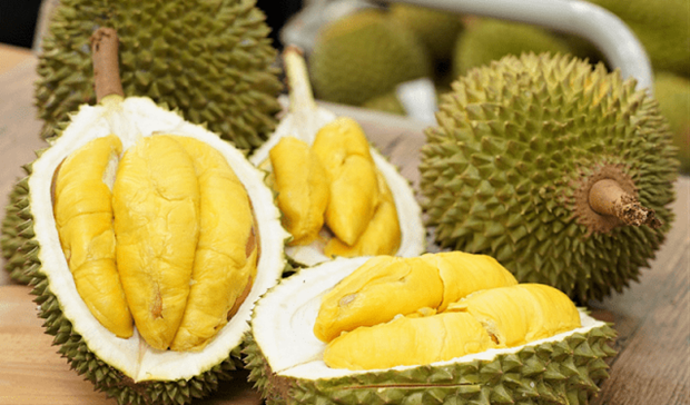 Vietnamese durian (Photo: tuoitre.vn)