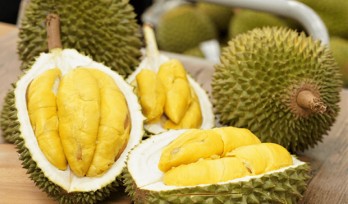 Export of Vietnamese durian to China to become official soon