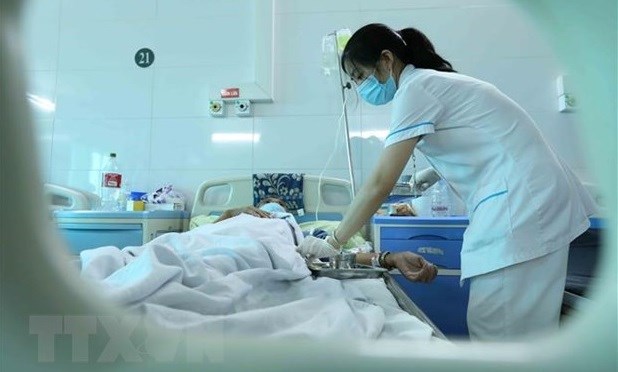 Treatment for dengue fever patient (Photo: VNA)