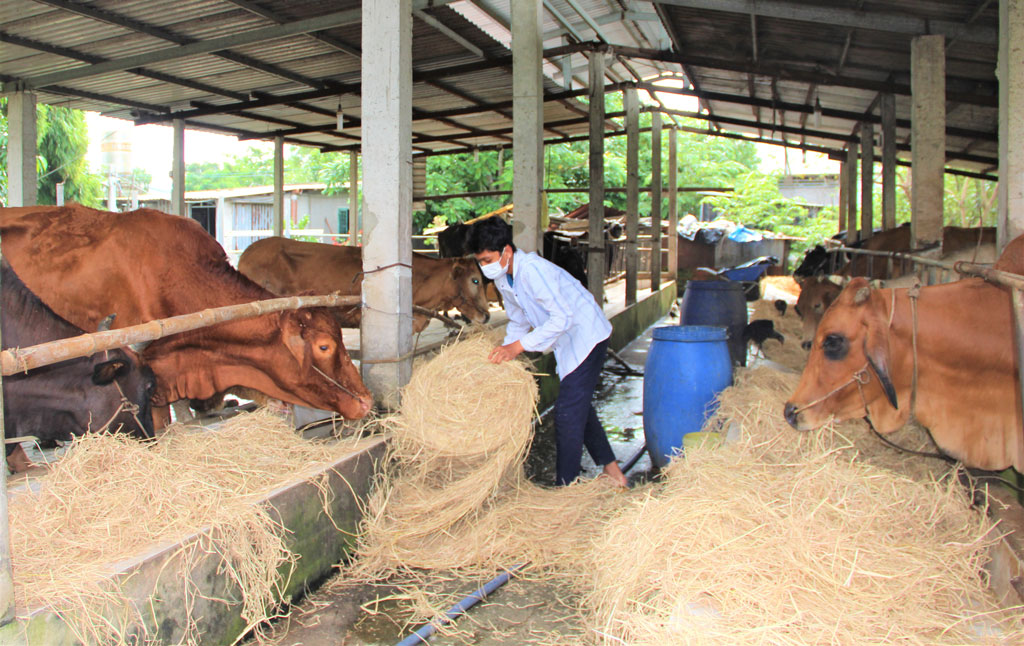 Nông nghiệp tuần hoàn: Xu hướng phát triển bền vững