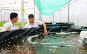 Nông nghiệp tuần hoàn: Xu hướng phát triển bền vững