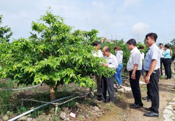 Thay đổi tư duy sản xuất, nâng cao thu nhập