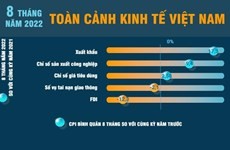 Kinh tế Việt Nam tiếp tục khởi sắc trong 8 tháng qua