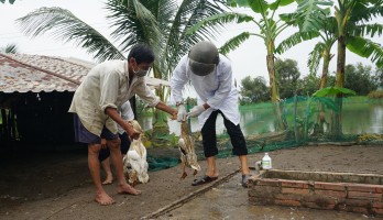 Bến Lức: Tiêm vắc-xin phòng bệnh cho đàn vật nuôi